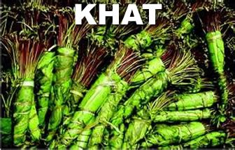 The Netherlands to ban drug khat used by Somalis