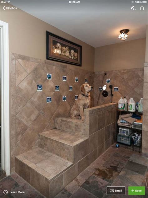 Stairs leading up to dog bath in laundry room. | Dog bathroom, Dog ...