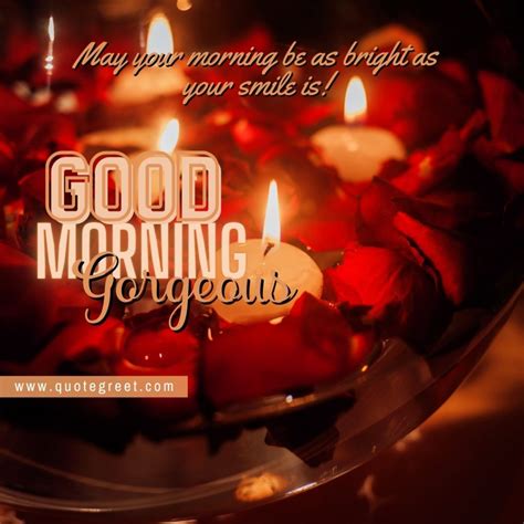 57 Beautiful Good Morning Red Rose Images |Wishes |Messages - QuoteGreet