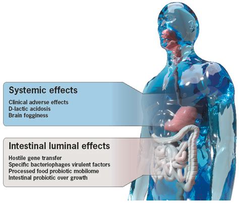 Microorganisms | Free Full-Text | Probiotics: If It Does Not Help It Does Not Do Any Harm. Really?