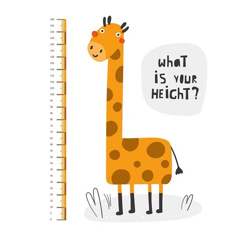 Average Height For A 1st Grader