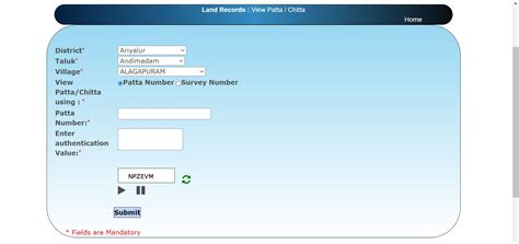 Patta Chitta Online: How to View Tamil Nadu Land Record