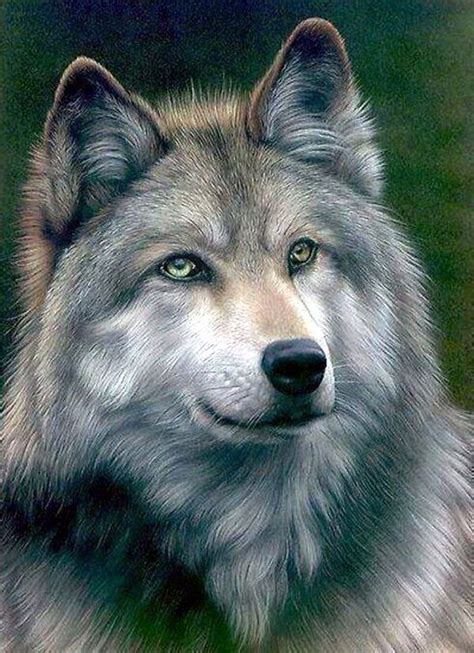 40 Realistic Animal Pencil Drawings | Pencil drawings of animals, Wolf ...