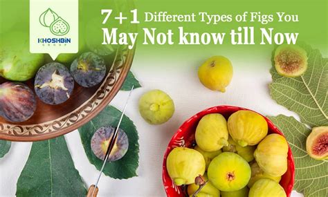 7+1 Different Types Of Figs You May Not Know Till Now | Khoshbin Group