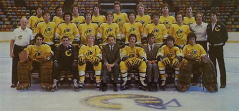 1978 Cincinnati Stingers Team Photo | HockeyGods