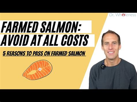 Is farmed Norwegian salmon safe to eat? Health risks and facts | Eightify