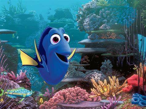 The Story of Finding Dory | Travel Insider