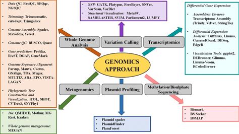 Commonly used bioinformatics tools for Genomics studies. Whole Genome... | Download Scientific ...