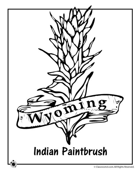 Wyoming State Flower Coloring Page | Woo! Jr. Kids Activities ...