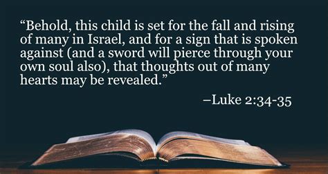 Your Daily Bible Verses — Luke 2:34-35 — Integrated Catholic Life™