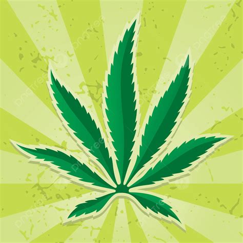 Cannabis Leaf Icon Herb Vector Grunge Photo, Herb, Vector, Grunge PNG and Vector with ...