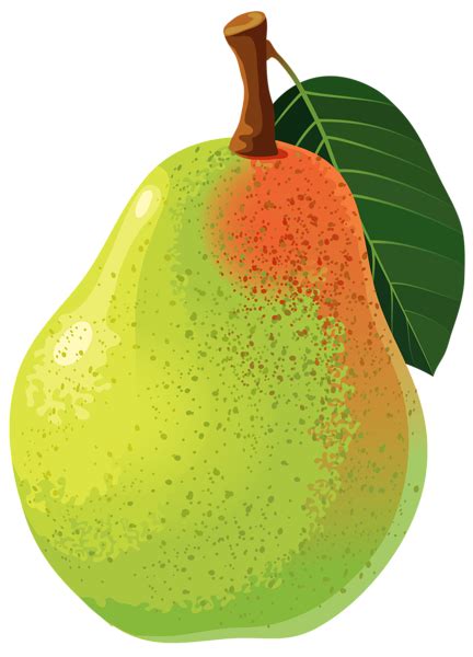 Pear PNG Vector Clipart Image | Imagens de frutas, Frutas, Pera