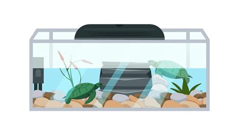 How To Set Up A Turtle Tank | Beginner's Guide