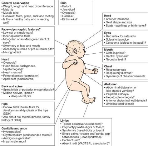 Newborn Nursing, Child Nursing, Nursing Study, Nursing Students, Ob ...