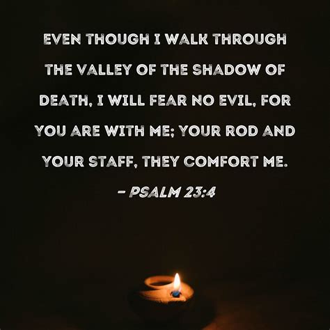 Psalm 23:4 Even though I walk through the valley of the shadow of death, I will fear no evil ...