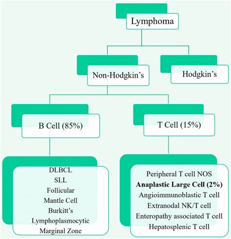 Classification of different subtypes of lymphoma | Download Scientific ...