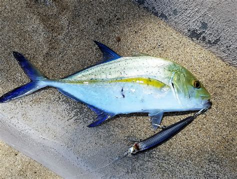 Fish dinner for Mom - Hawaii Nearshore Fishing