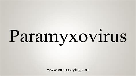 How To Say Paramyxovirus - YouTube