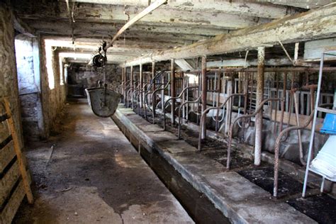 Old stanchion barn, where the cows each had their own spot ... | Farm life, Farm images, Old ...