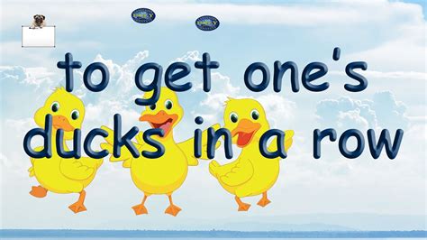 American Idiom - get one's ducks in a row - YouTube