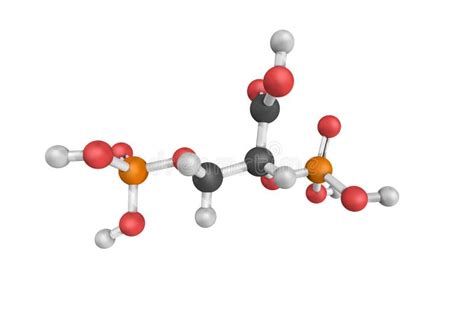 3d Structure of 2,3-Bisphosphoglyceric Acid (2,3-DPG), a Three-carbon Isomer of the Glycolytic ...