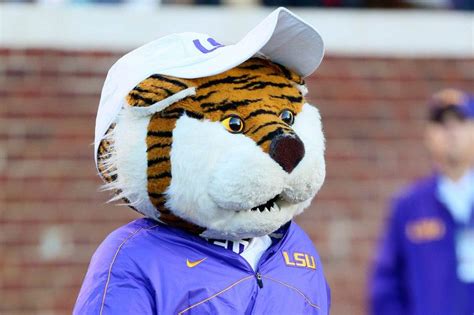 LSU Tigers mascot Mike the Tiger, dressed up as coach Les Miles. Lsu ...