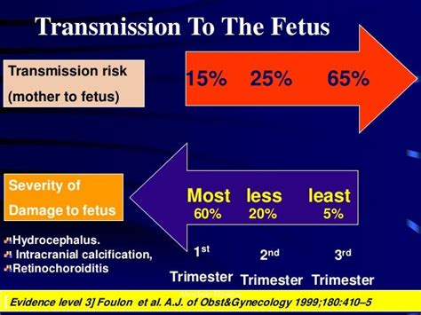 Toxoplasmosis in pregnancy