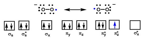 IJMS | Free Full-Text | Superoxide Anion Chemistry—Its Role at the Core of the Innate Immunity