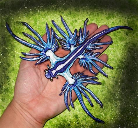 Blue Dragon Sea Slug Pet