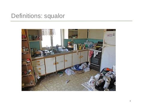 Hoarding and squalor training web slideshow