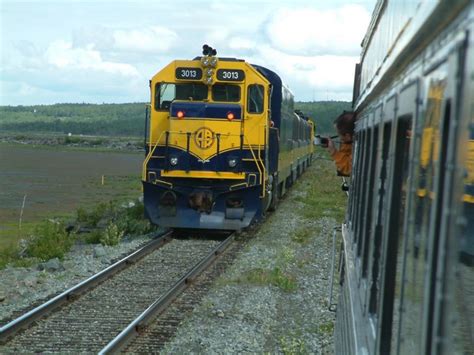 Cruise train goes by