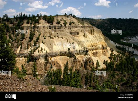 Specimen Ridge near Tower-Roosevelt in Yellowstone Park panoramic Stock Photo: 20303148 - Alamy