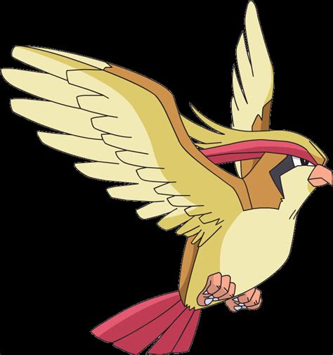 Pokemon 18 Pidgeot Pokedex: Evolution, Moves, Location, Stats