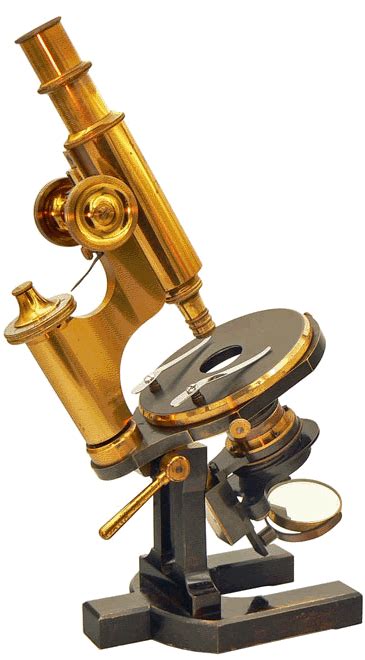 Le Compendium - Microscope Carl Zeiss - éclairage de Abbe - microscope allemand - le Compendium