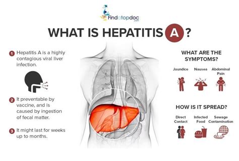 Can Hepatitis A Impact Your Quality of Life?