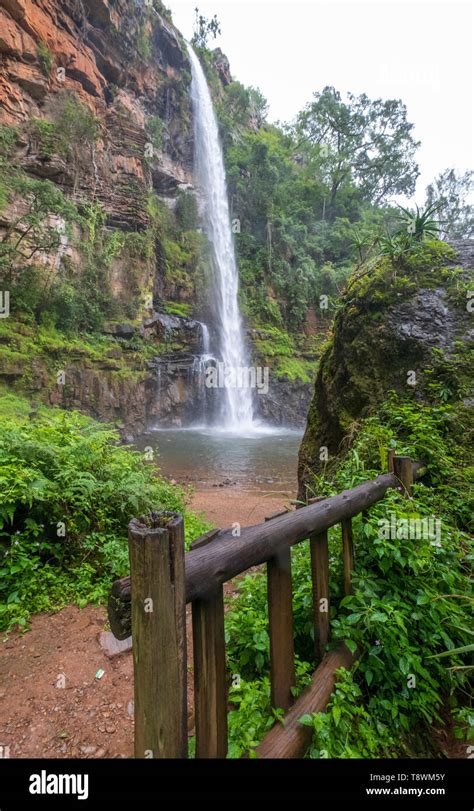 Lone Creek Falls, dramatic waterfalls in forested area in the Blyde River Canyon, Panorama Route ...