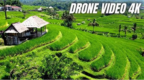 😍AMAZING RICE FIELDS 4K | DRONE VIDEO | BALI 🌿 - YouTube