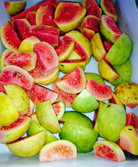 Guava Season in Fiji 2025 - Rove.me