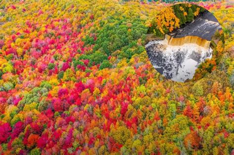 See Northern Michigan's Amazing Fall Colors From a Drone