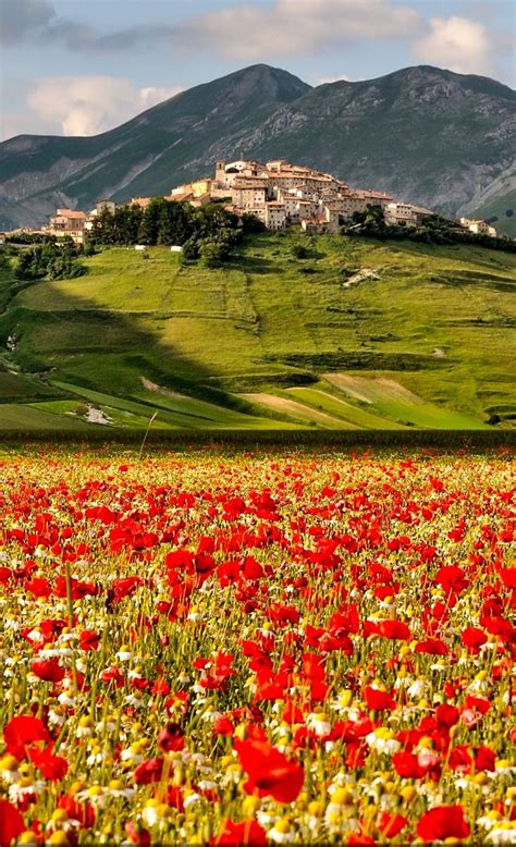 Castelluccio di Norcia Fioritura 2013 | Italy vacation, Places to ...