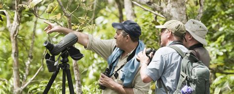 Birding and Birdwatching Tours in the Philippines...