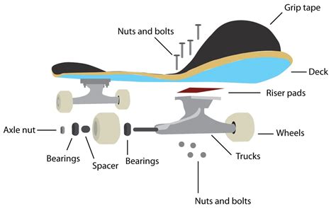 Skateboard buying guide for Beginners & Pros - Funtastic Rides