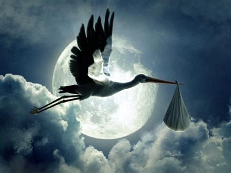 Storks deliver babies. | Old Wives' Tales & Superstitions | Baby stork, Stork, Baby drawing