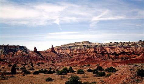 New Mexican Desert Landscape. | Mexican desert, Desert landscaping ...