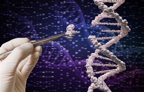 The Consequences Of Gene Editing With CRISPR | immigrant.com.tw