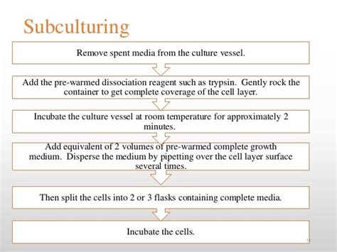 Animal cell culture techniques