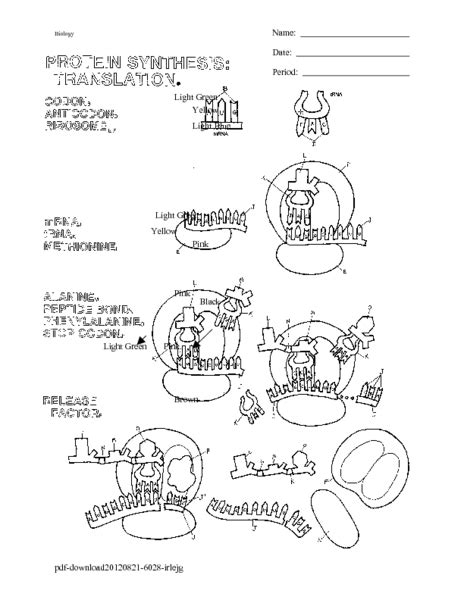 Protein Synthesis: Translation Worksheet for 9th - Higher Ed | Lesson Planet