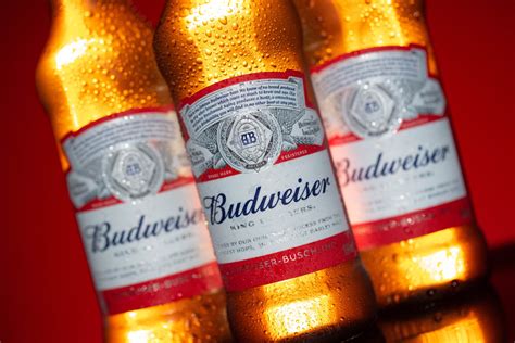 Budweiser China debuts first organic beer | Dao Insights