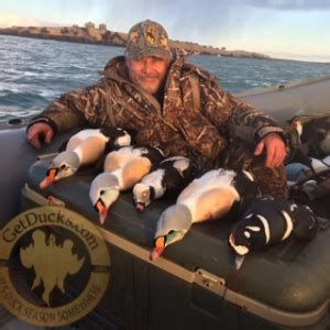 Alaska King Eider Hunting - King Eiders - Ramsey Russell's GetDucks.com