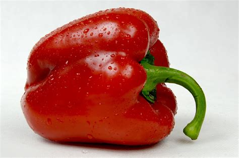 Free photo: Paprika, Red, Red Pepper, Eating - Free Image on Pixabay - 1252585